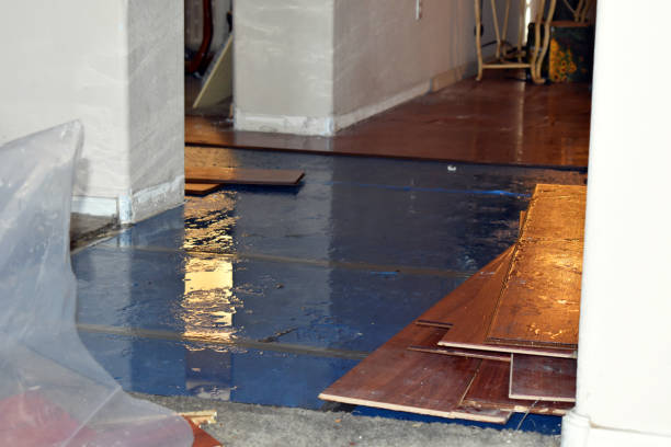 Professional Burst Pipe Cleanup technician working in Etna, NH